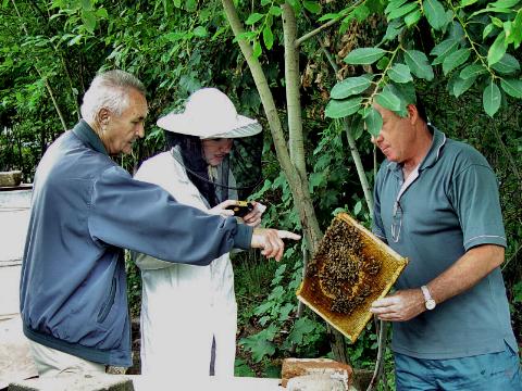 Amy Alabaster in Southern Bohemia